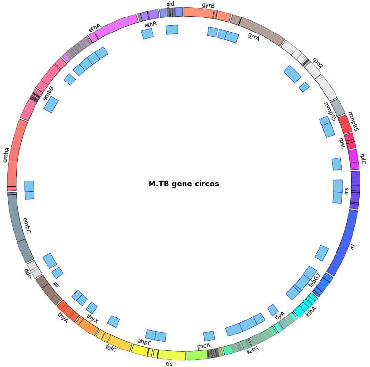Shallow Gas Detection